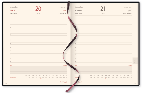 2027 diary daily layout